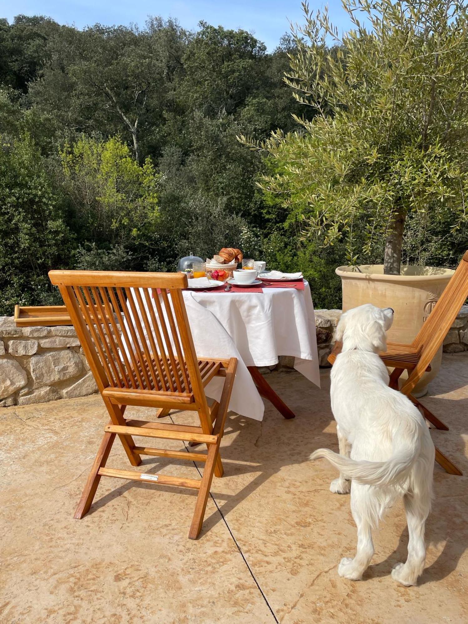 Bed and Breakfast Mas de Kyoto Nîmes-Uzès Dions Exterior foto